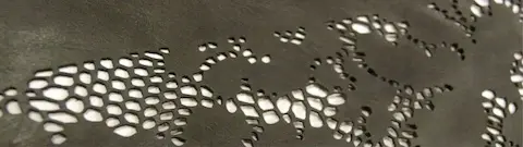 ЛАЗЕРНО РЯЗАНЕ НА ПЛАТ, НЕТЪКАН ТЕКСТИЛ, КОЖА ЛАЗЕРНО РЯЗАНЕ НА ПЛАТ, НЕТЪКАН ТЕКСТИЛ, КОЖА